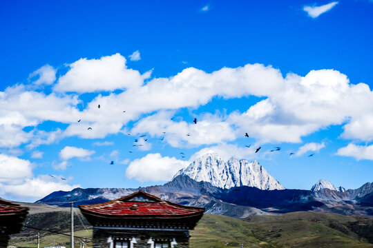 318雪山