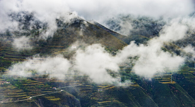 高山云雾