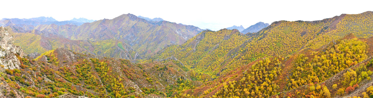 大青山秋景