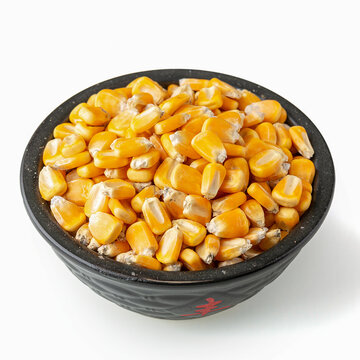 玉米粒粮食