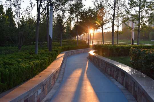 公园的晨光
