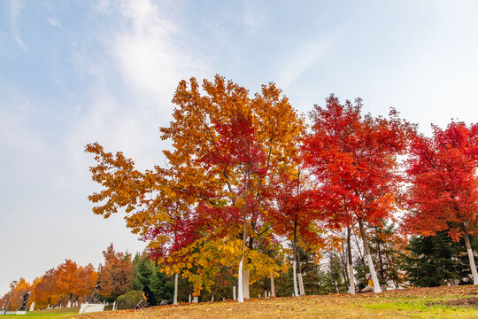 长春世界雕塑公园五彩缤纷