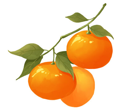 橘子水果手绘插画包装