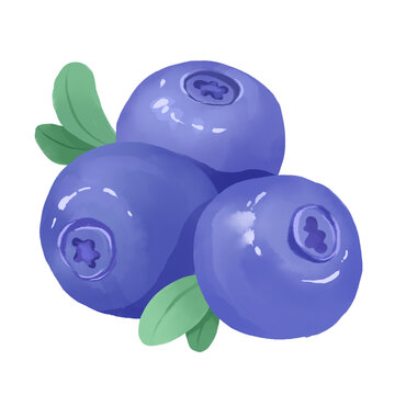 香甜蓝莓水果手绘插画