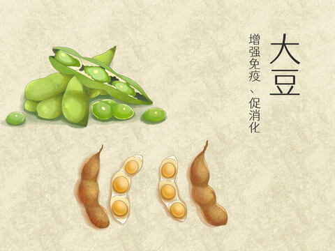 手绘水彩蔬菜大豆插画