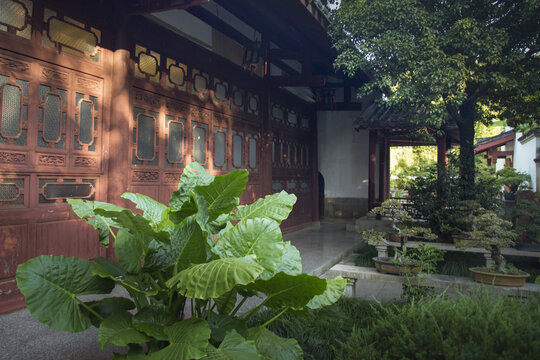 福州西湖开化寺