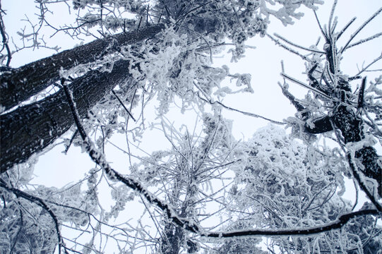 张家界天门山雪景