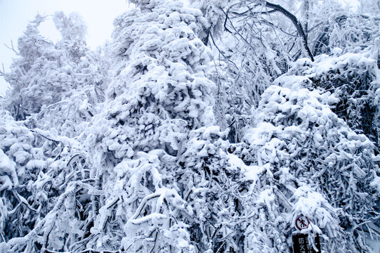 张家界天门山雪景