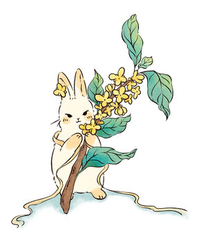 抱着桂花的兔兔