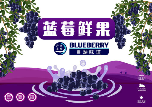 蓝莓包装