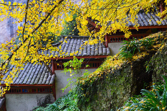 白岩寺