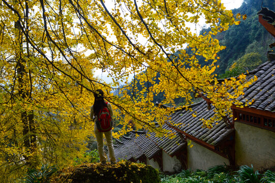 白岩寺