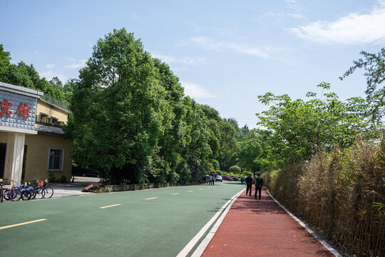 重庆铜梁玄天湖步道