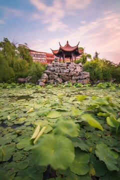 中国计量大学