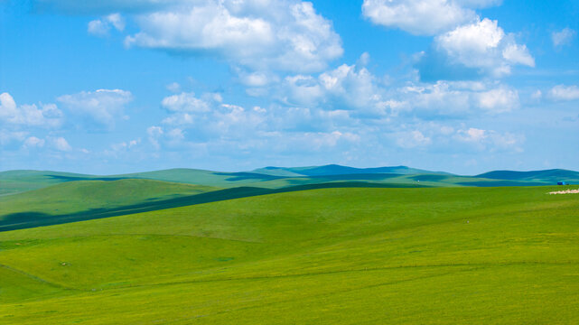 蒙古大草原美景