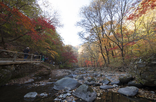 秋日峡谷