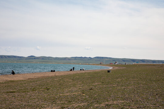 青海湖畔