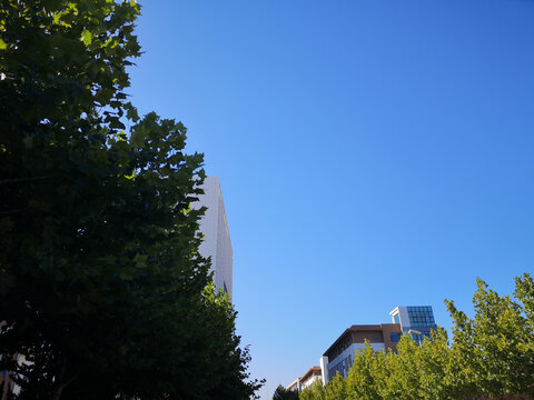 校园蓝天