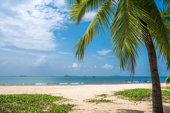 阳光沙滩椰子树海岛风光