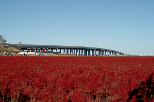 红海滩凌海大桥