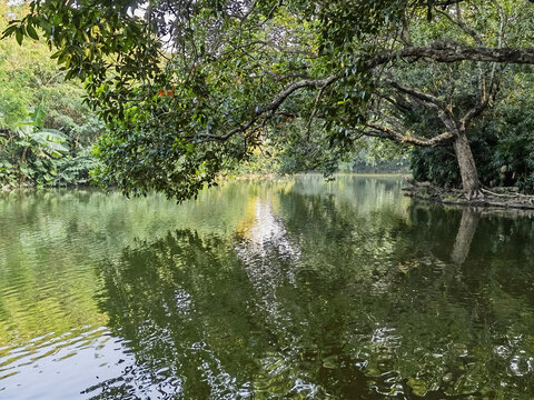 深圳风光