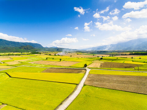 田间地头