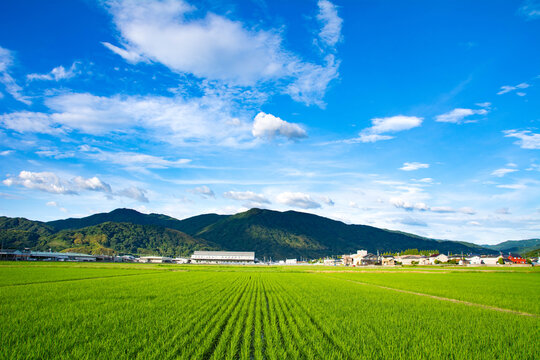 田间地头