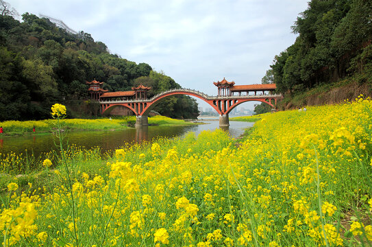 河谷油菜花田