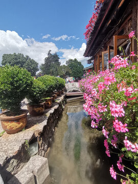 流水古城粉花