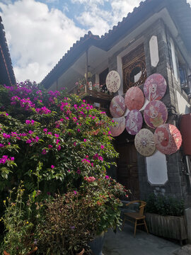 丽江花朵