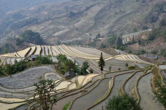 元阳梯田