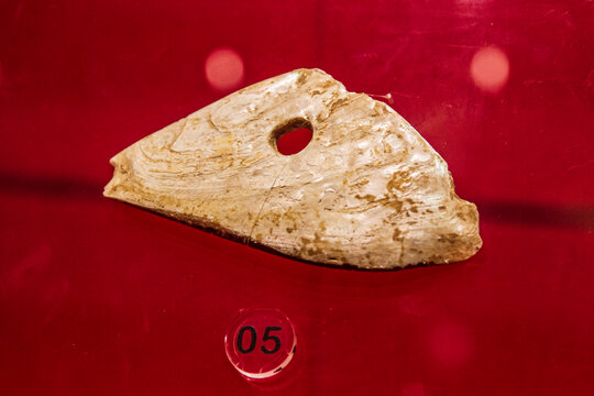 石器时代鱼头形蚌刀