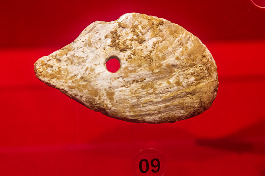 新石器时代鱼头形蚌刀