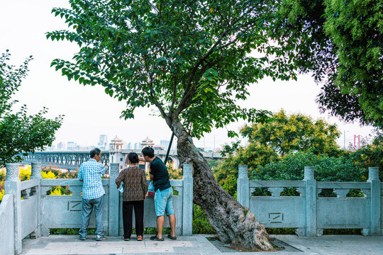 长者游亲子游带着父母去旅行