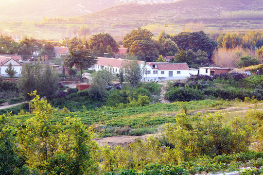 田园风景