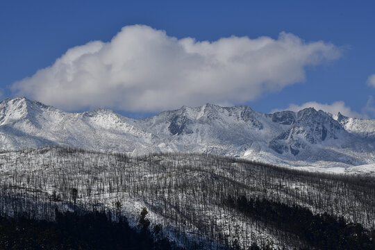 雪山森林