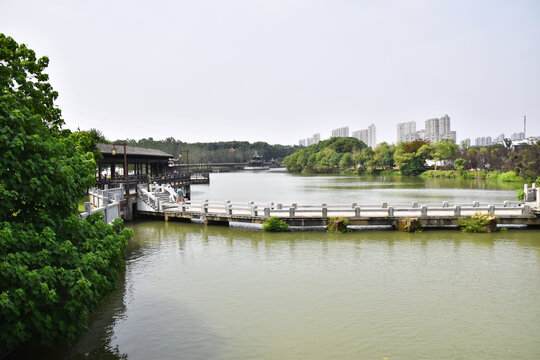 八大山人梅湖