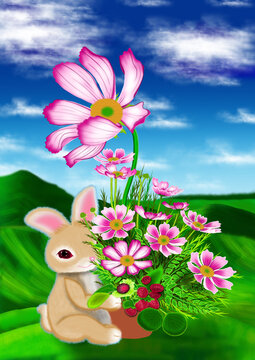 兔子雏菊