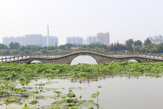 大明湖翠柳屏岛三孔堤桥全景图