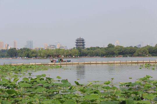 大明湖湖景