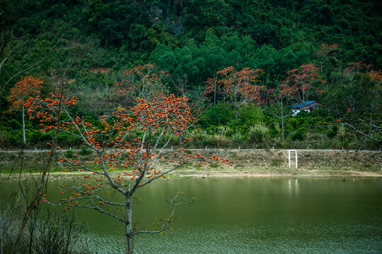 雅龙小桂林