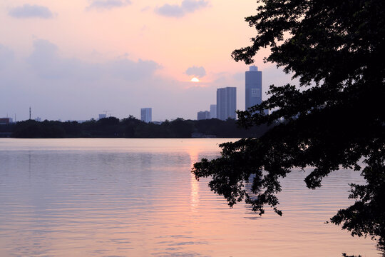 海珠湖夕阳湖景