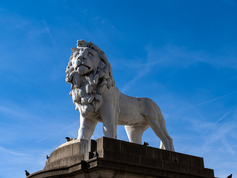 伦敦石雕狮子