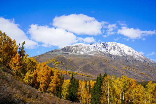 雪山