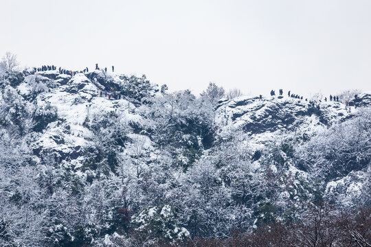 西湖雪韵