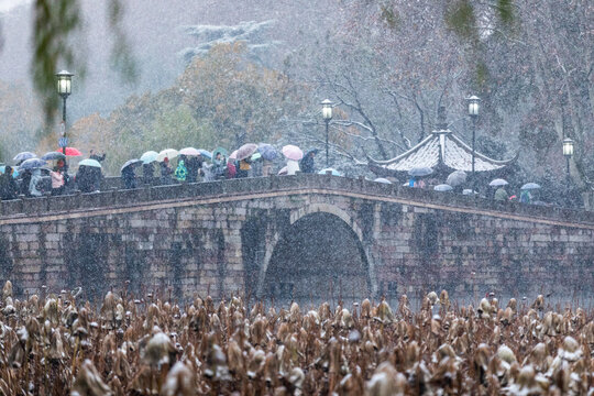 西湖雪韵