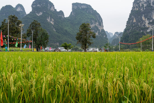 乡村旅游