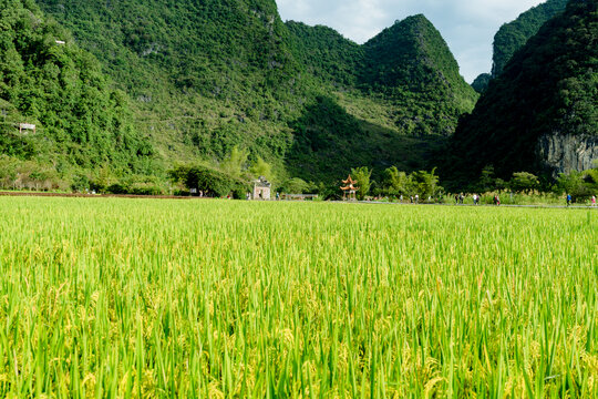 乡村旅游