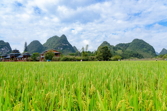 乡村旅游