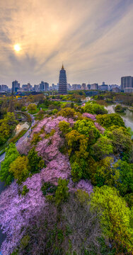 江苏省常州市天宁禅寺